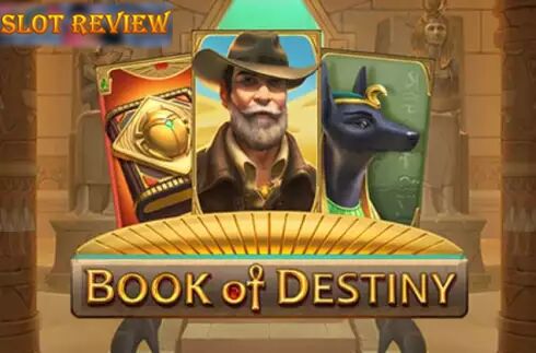 Book of Destiny icon